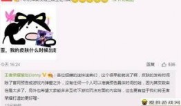 未来之翼最新爆料消息,揭秘神秘科技，引领未来航空新篇章